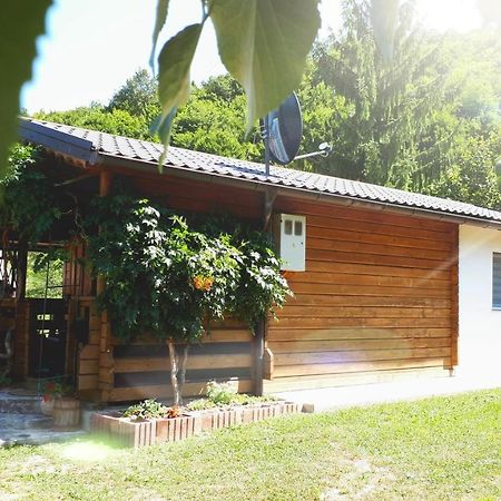 Studio Apartman Firdaus-Bihac, Dobrenica Bb Exterior photo